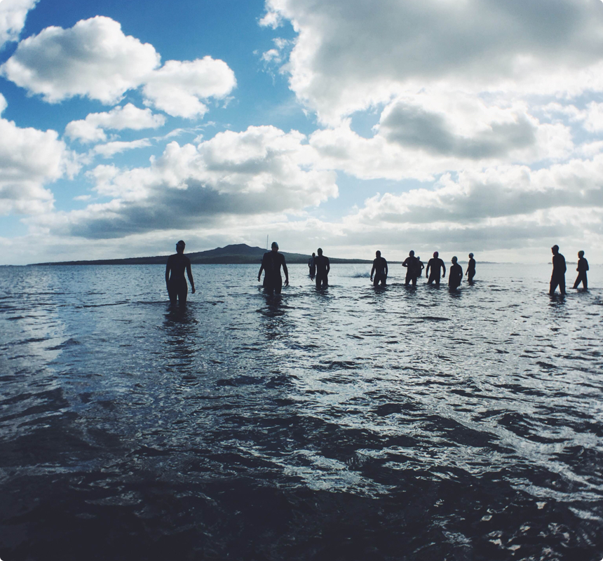 Auckland House Sitting North Shore